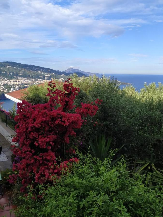 Villa Casa Elianta Vico Equense Exterior foto